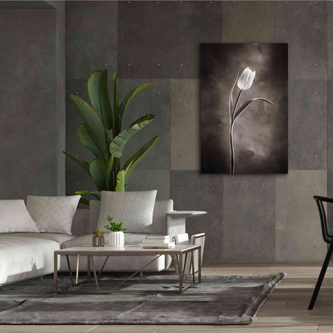 Image of 'Two Tone Tulips I' by Debra Van Swearingen, Canvas Wall Art,40 x 60
