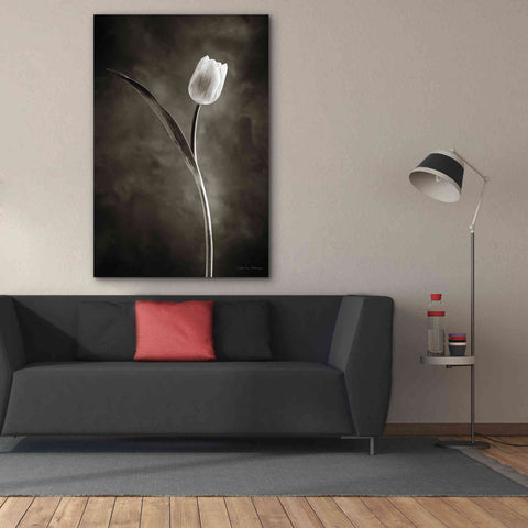 Image of 'Two Tone Tulips II' by Debra Van Swearingen, Canvas Wall Art,40 x 60