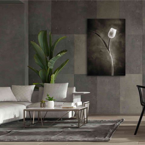 Image of 'Two Tone Tulips II' by Debra Van Swearingen, Canvas Wall Art,40 x 60