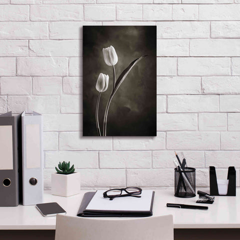Image of 'Two Tone Tulips IV' by Debra Van Swearingen, Canvas Wall Art,12 x 18
