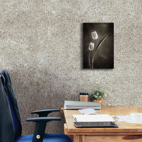 Image of 'Two Tone Tulips IV' by Debra Van Swearingen, Canvas Wall Art,12 x 18