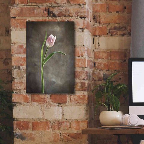 Image of 'Spring Tulips I' by Debra Van Swearingen, Canvas Wall Art,12 x 18