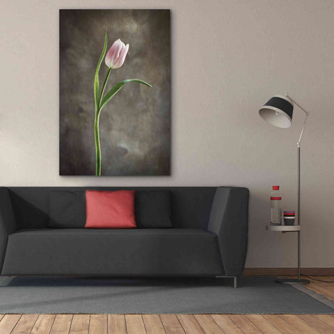 Image of 'Spring Tulips I' by Debra Van Swearingen, Canvas Wall Art,40 x 60