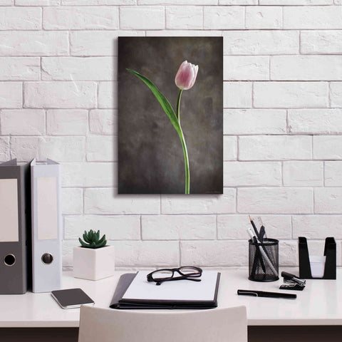 Image of 'Spring Tulips II' by Debra Van Swearingen, Canvas Wall Art,12 x 18