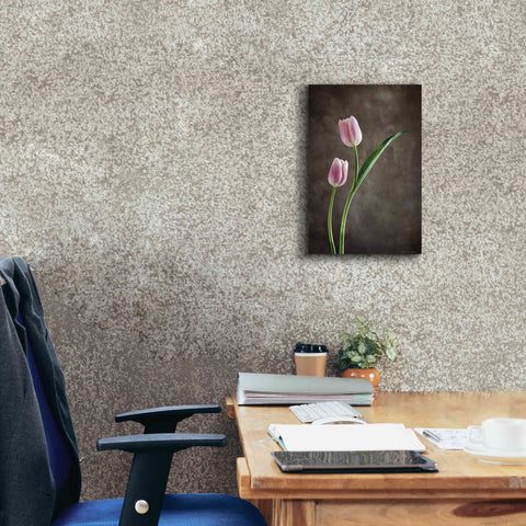 Image of 'Spring Tulips IV' by Debra Van Swearingen, Canvas Wall Art,12 x 18