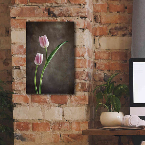 Image of 'Spring Tulips IV' by Debra Van Swearingen, Canvas Wall Art,12 x 18