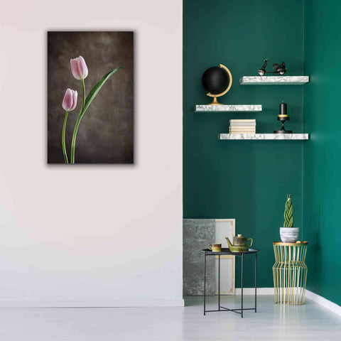 Image of 'Spring Tulips IV' by Debra Van Swearingen, Canvas Wall Art,26 x 40