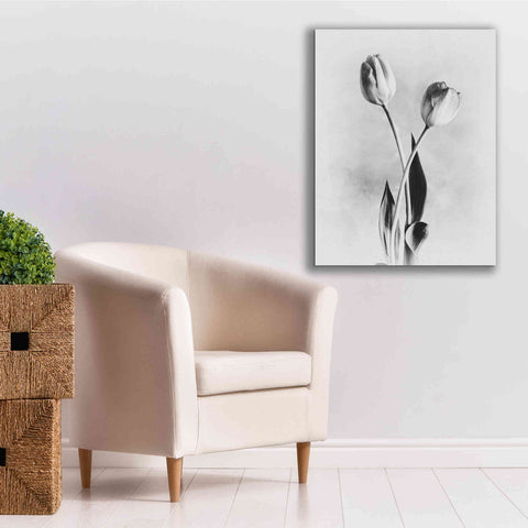 Image of 'Soft Tulips IV' by Debra Van Swearingen, Canvas Wall Art,26 x 34