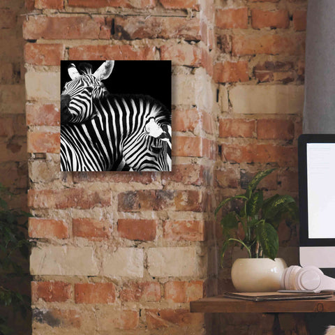 Image of 'Zebra VI' by Debra Van Swearingen, Canvas Wall Art,12 x 12