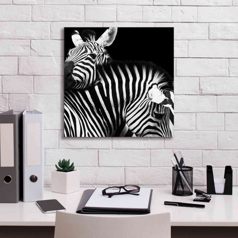 Image of 'Zebra VI' by Debra Van Swearingen, Canvas Wall Art,18 x 18