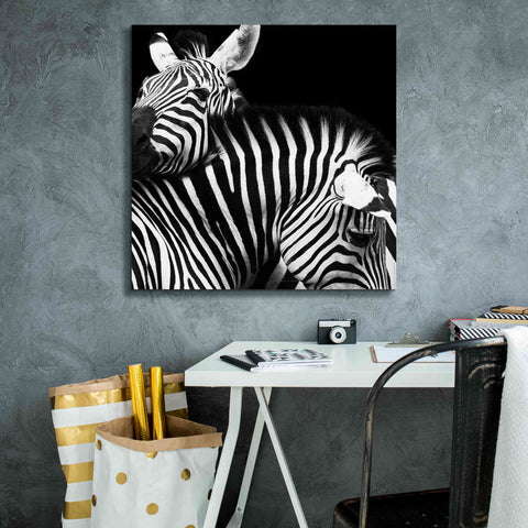 Image of 'Zebra VI' by Debra Van Swearingen, Canvas Wall Art,26 x 26