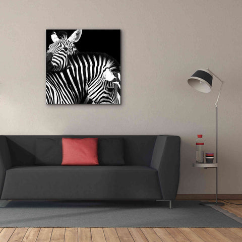 Image of 'Zebra VI' by Debra Van Swearingen, Canvas Wall Art,37 x 37