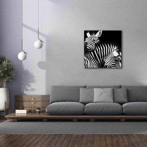 Image of 'Zebra VI' by Debra Van Swearingen, Canvas Wall Art,37 x 37