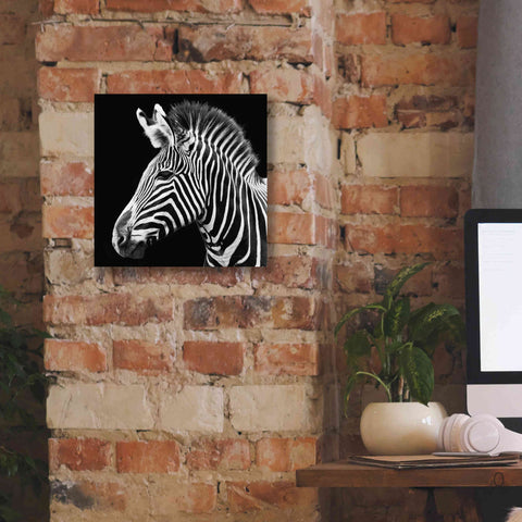 Image of 'Zebra VII' by Debra Van Swearingen, Canvas Wall Art,12 x 12
