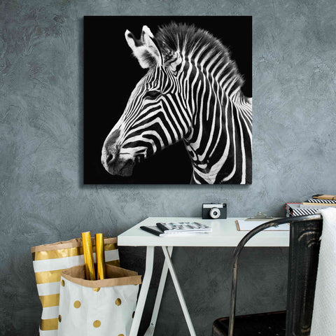 Image of 'Zebra VII' by Debra Van Swearingen, Canvas Wall Art,26 x 26