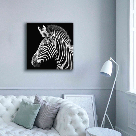 Image of 'Zebra VII' by Debra Van Swearingen, Canvas Wall Art,37 x 37