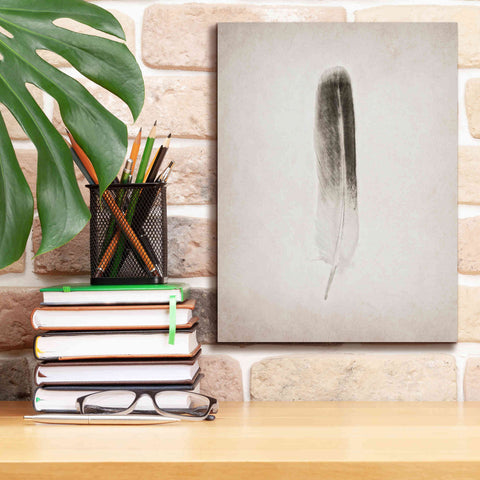 Image of 'Feather II B&W' by Debra Van Swearingen, Canvas Wall Art,12 x 16
