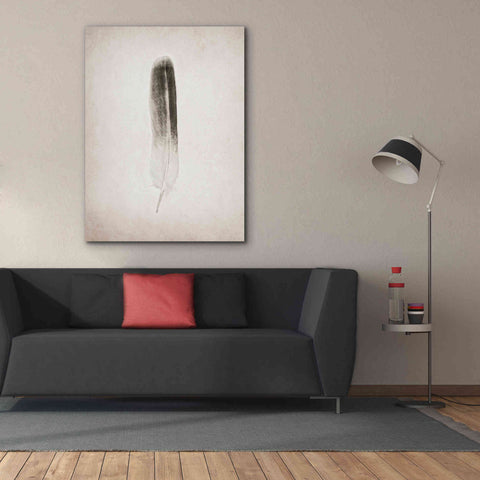 Image of 'Feather II B&W' by Debra Van Swearingen, Canvas Wall Art,40 x 54