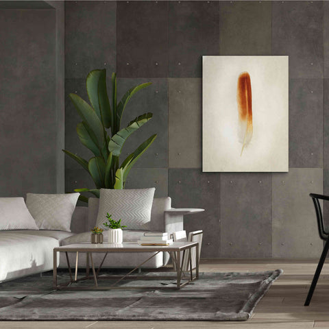 Image of 'Feather II' by Debra Van Swearingen, Canvas Wall Art,40 x 54