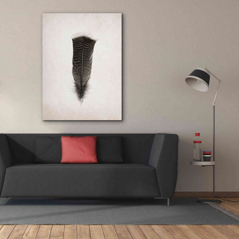 Image of 'Feather III B&W' by Debra Van Swearingen, Canvas Wall Art,40 x 54