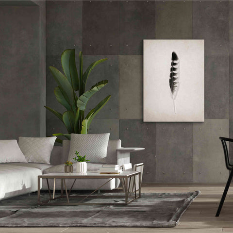Image of 'Feather IV B&W' by Debra Van Swearingen, Canvas Wall Art,40 x 54