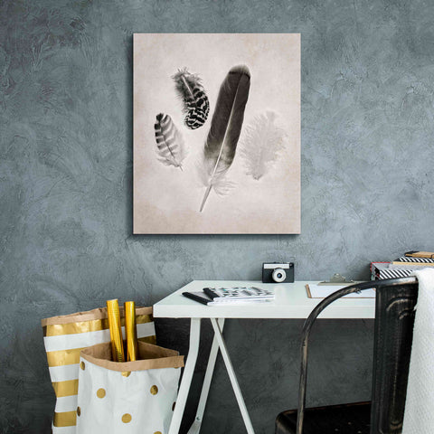 Image of 'Feather Group I B&W' by Debra Van Swearingen, Canvas Wall Art,20 x 24