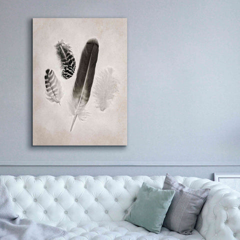 Image of 'Feather Group I B&W' by Debra Van Swearingen, Canvas Wall Art,40 x 54
