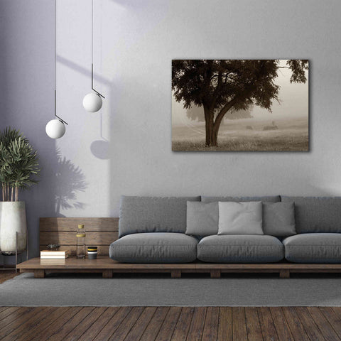 Image of 'Calm Mist' by Debra Van Swearingen, Canvas Wall Art,60 x 40