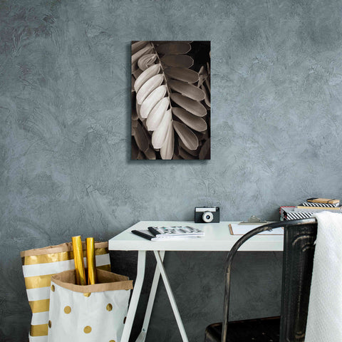 Image of 'Tropical Plant I' by Debra Van Swearingen, Canvas Wall Art,12 x 18