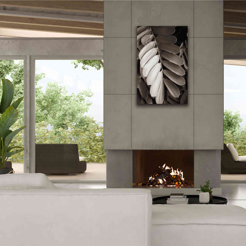Image of 'Tropical Plant I' by Debra Van Swearingen, Canvas Wall Art,26 x 40
