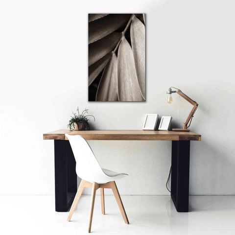 Image of 'Tropical Plant II' by Debra Van Swearingen, Canvas Wall Art,26 x 40