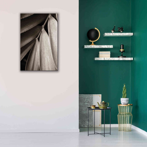 Image of 'Tropical Plant II' by Debra Van Swearingen, Canvas Wall Art,26 x 40