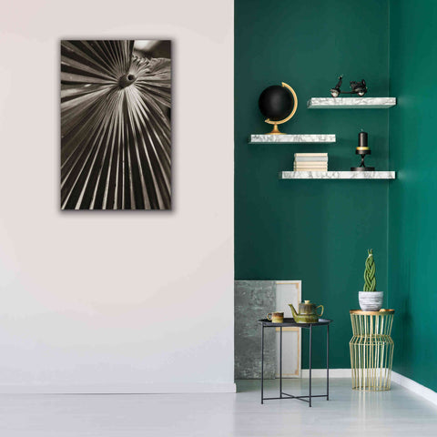 Image of 'Palm Frond 1' by Debra Van Swearingen, Canvas Wall Art,26 x 40