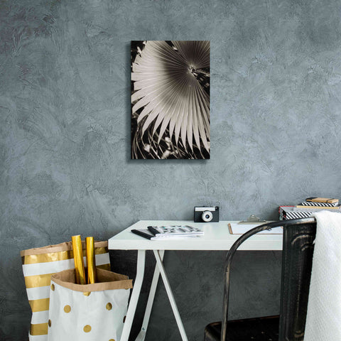 Image of 'Palm Frond 2' by Debra Van Swearingen, Canvas Wall Art,12 x 18