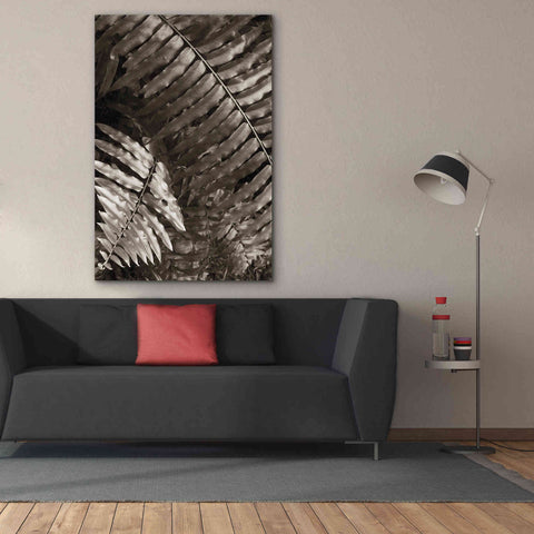 Image of 'Fern I' by Debra Van Swearingen, Canvas Wall Art,40 x 60
