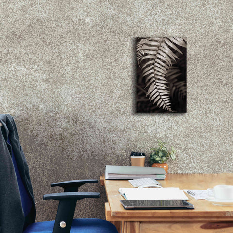 Image of 'Fern II' by Debra Van Swearingen, Canvas Wall Art,12 x 18