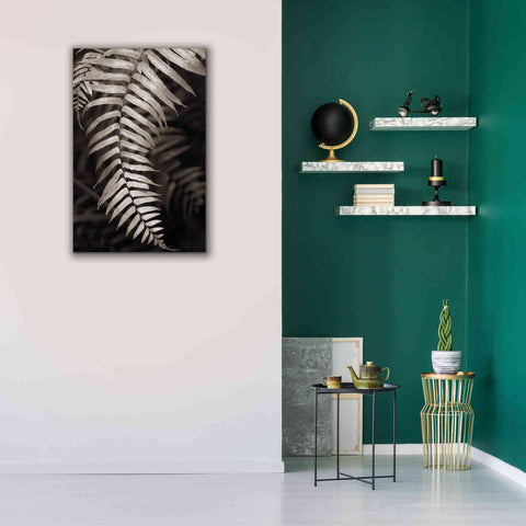 Image of 'Fern II' by Debra Van Swearingen, Canvas Wall Art,26 x 40