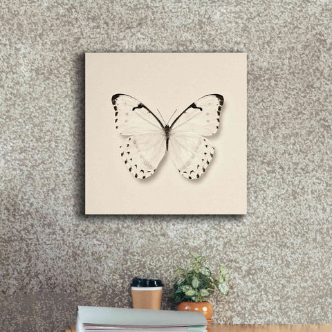 Image of 'Butterfly II B&W' by Debra Van Swearingen, Canvas Wall Art,18 x 18