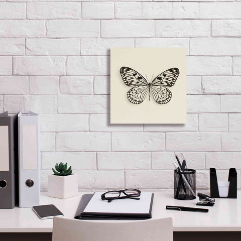 Image of 'Butterfly V B&W' by Debra Van Swearingen, Canvas Wall Art,12 x 12