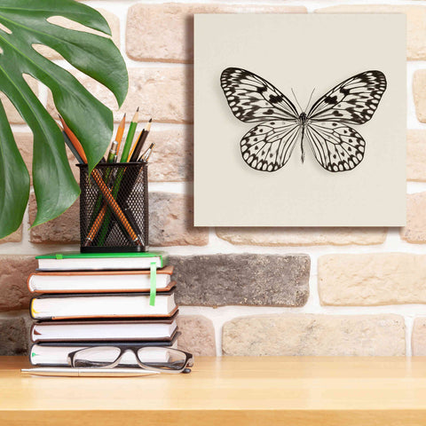 Image of 'Butterfly V B&W' by Debra Van Swearingen, Canvas Wall Art,12 x 12