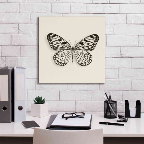 Image of 'Butterfly V B&W' by Debra Van Swearingen, Canvas Wall Art,18 x 18