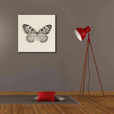 Image of 'Butterfly V B&W' by Debra Van Swearingen, Canvas Wall Art,26 x 26