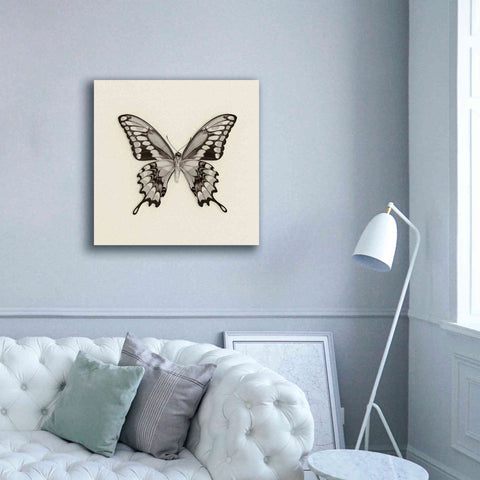 Image of 'Butterfly VI B&W' by Debra Van Swearingen, Canvas Wall Art,37 x 37