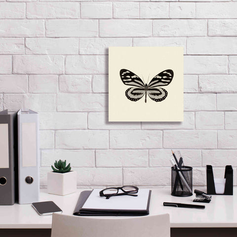 Image of 'Butterfly VIII B&W' by Debra Van Swearingen, Canvas Wall Art,12 x 12