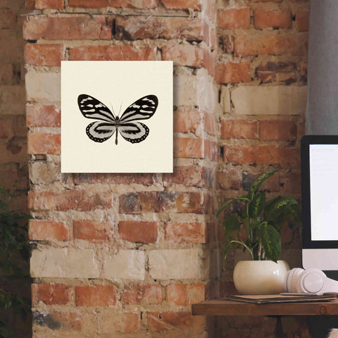 Image of 'Butterfly VIII B&W' by Debra Van Swearingen, Canvas Wall Art,12 x 12