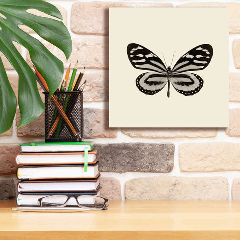 Image of 'Butterfly VIII B&W' by Debra Van Swearingen, Canvas Wall Art,12 x 12