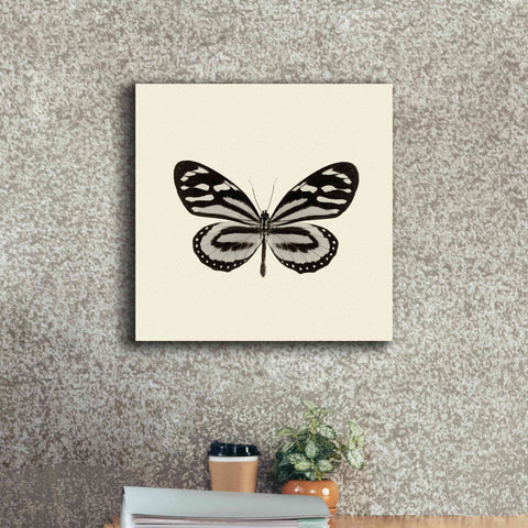 Image of 'Butterfly VIII B&W' by Debra Van Swearingen, Canvas Wall Art,18 x 18