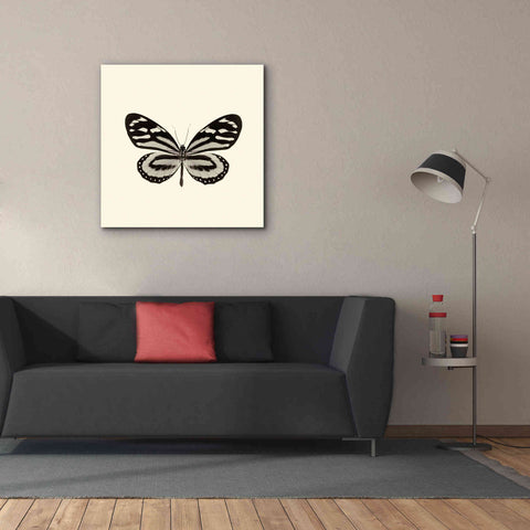 Image of 'Butterfly VIII B&W' by Debra Van Swearingen, Canvas Wall Art,37 x 37