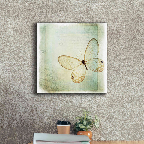 Image of 'Floating Butterfly I' by Debra Van Swearingen, Canvas Wall Art,18 x 18