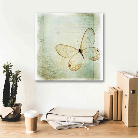 Image of 'Floating Butterfly I' by Debra Van Swearingen, Canvas Wall Art,18 x 18